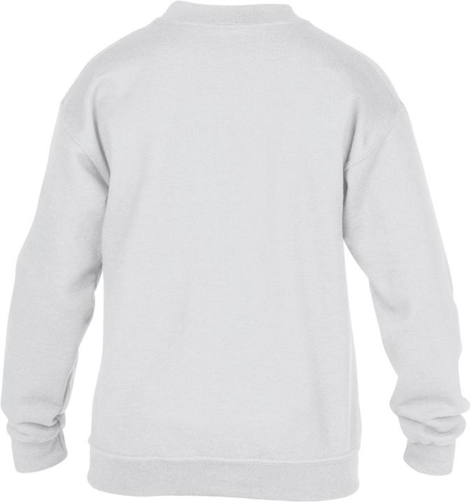 Image du produit Gildan Sweat-shirt à col rond (L)