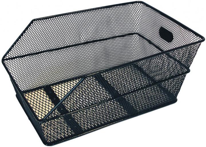 Actual product image Basil Scuola-Cento (27 l)
