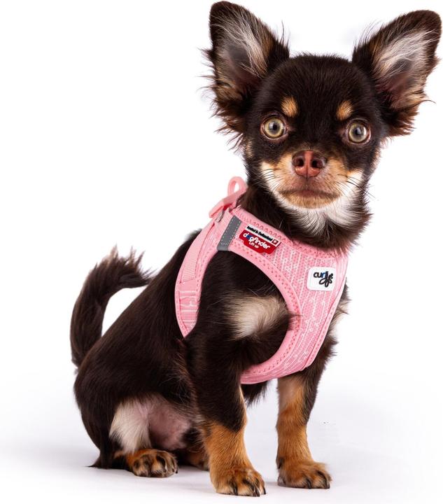 Actual product image Curli Harness Vest Air-Mesh L SE24, fondant pink (L, Dog, General)