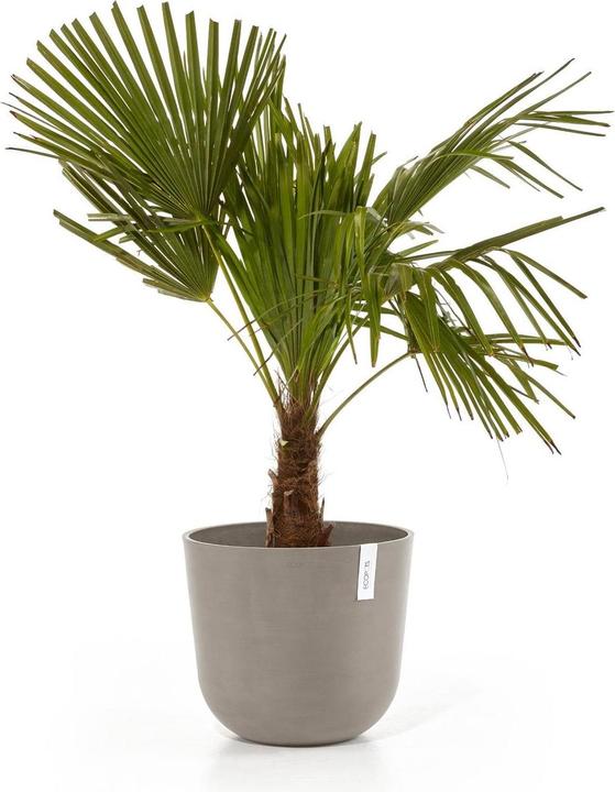 Produktbild Ecopots Oslo (35 cm)