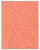 Image du produit Maybelline New York Blush Sunkisser 02 Uptown Glow (02 Uptown Glow)
