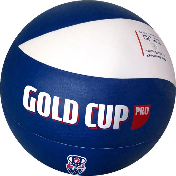 Sport-Thieme Volleyball Gold Cup Pro (5)