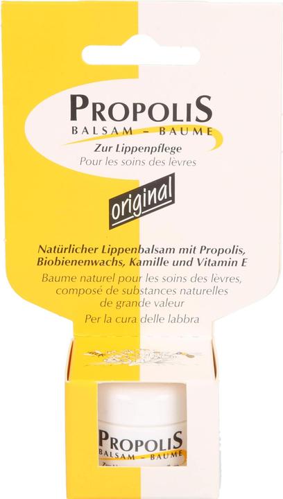 Actual product image Remmele Balsam Tiegel (Balm, 5 ml)