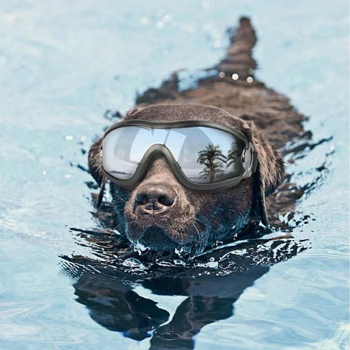 Produktbild Suba Hundebrille (Hundebademantel)