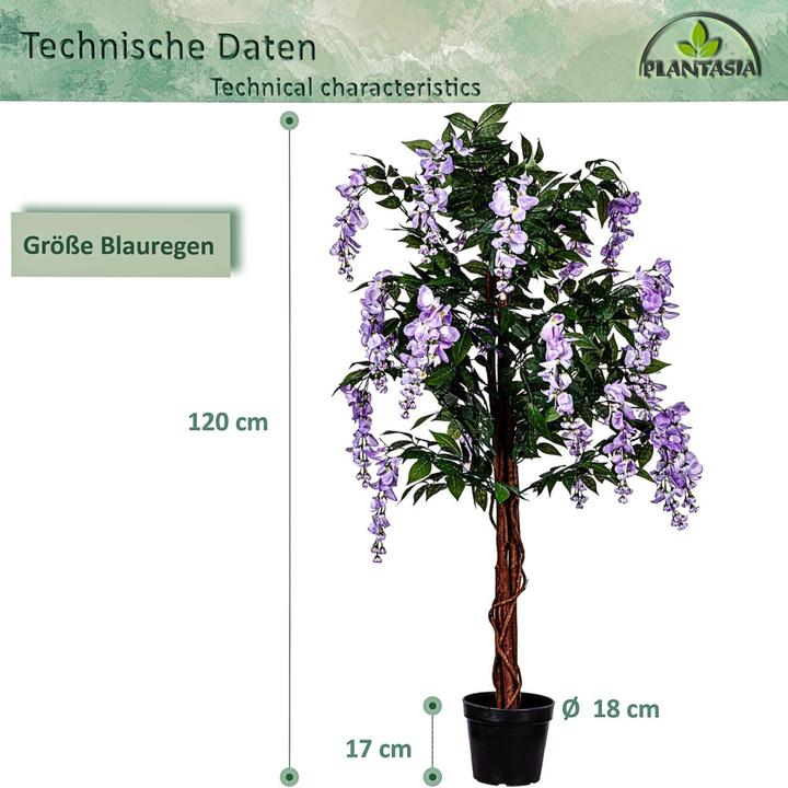 Image du produit Plantasia Wisteria Baum (120 cm)