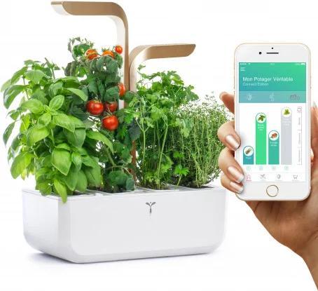 Actual product image Véritable VERITABLE CONNECT Indoor Garden gold incl 4 Packs (18.50 cm)