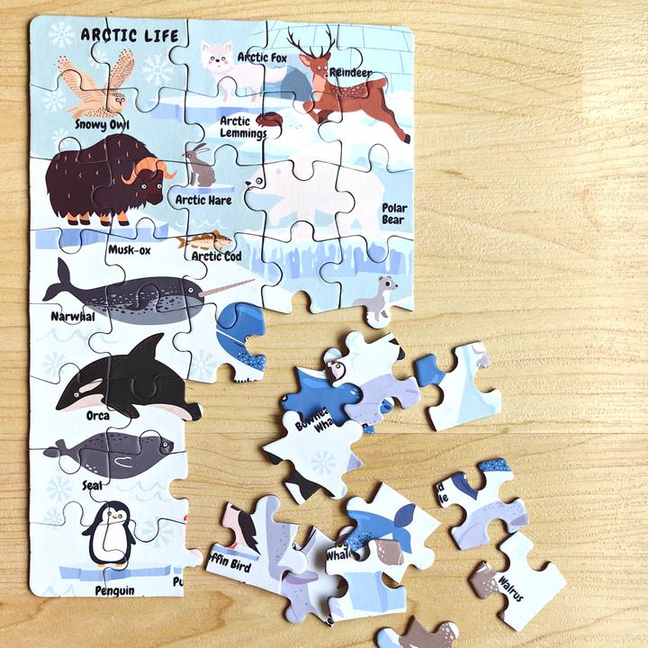Produktbild DoerKids Mini Puzzle Arktis 40 Stk. (40 Teile)