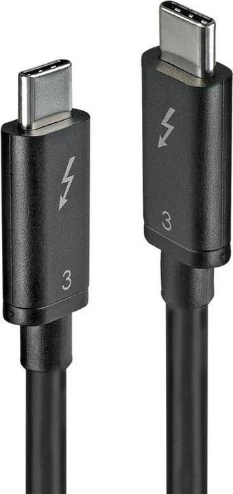 Lindy USB-C - USB-C USB-Kabel 0,5 m schwarz (41555) (0.50 m, USB 3.1)