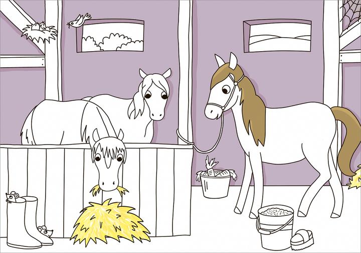Immagine prodotto Tessloff Il mio libro da colorare più bello. Cavalli e pony