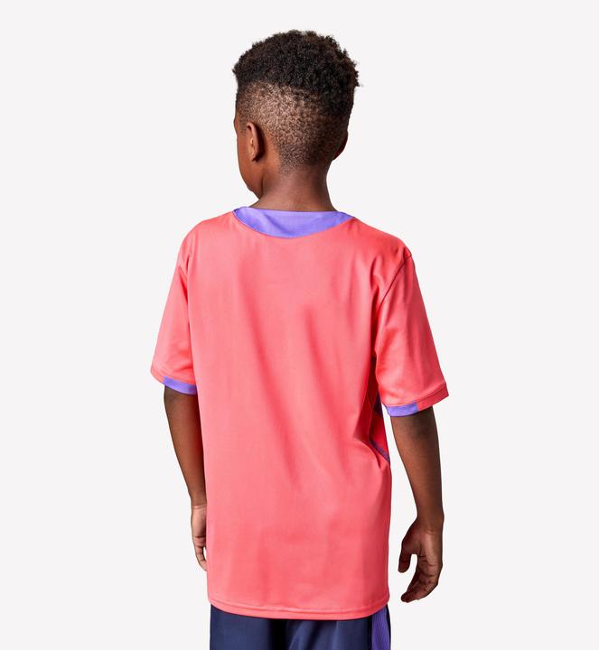 Immagine prodotto Kipsta Kinder Fussball Trikot kurzarm - VIRALTO Kids Roarrr Mandrill rot/violett