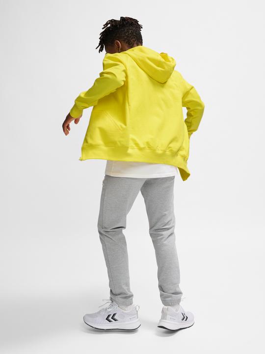Image du produit hummel Hmlgo 2.0 Hoodie Zip Kids (140)