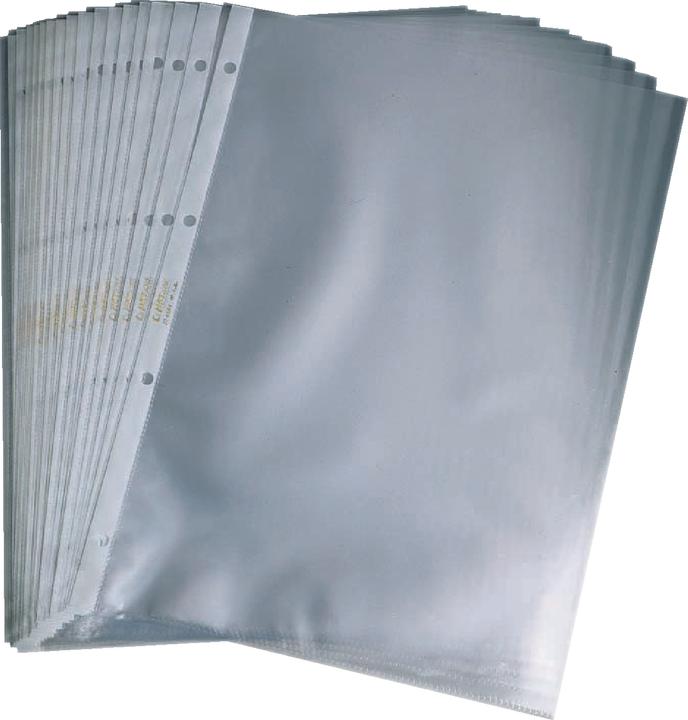 Actual product image Prospect sleeves Economy Grained A4 (A4, 100 x)