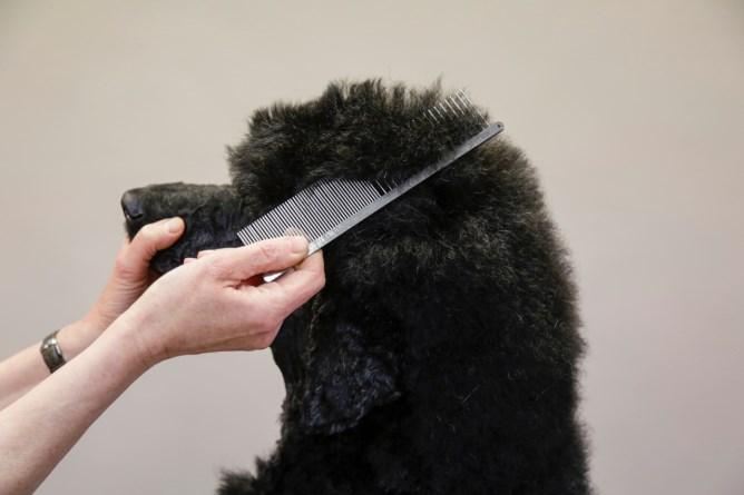 Actual product image Kerbl Fur comb (Cat, Dog)
