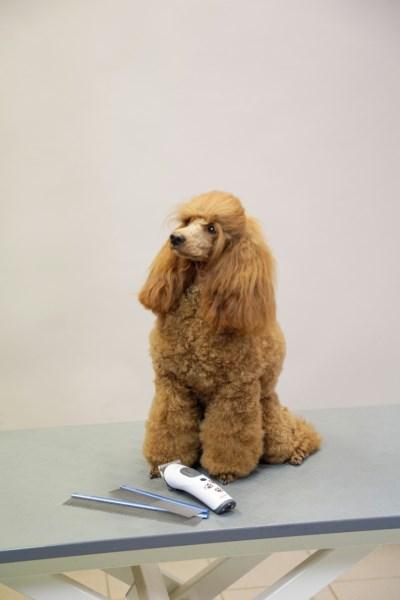 Actual product image Kerbl Fur comb (Cat, Dog)