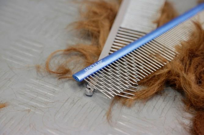 Actual product image Kerbl Fur comb (Cat, Dog)