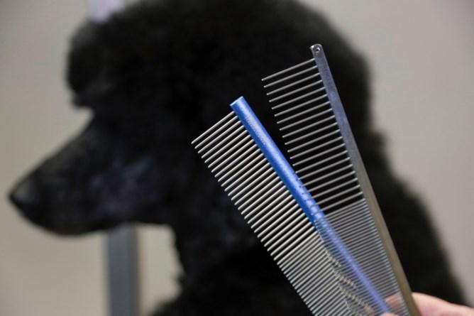 Actual product image Kerbl Fur comb (Cat, Dog)
