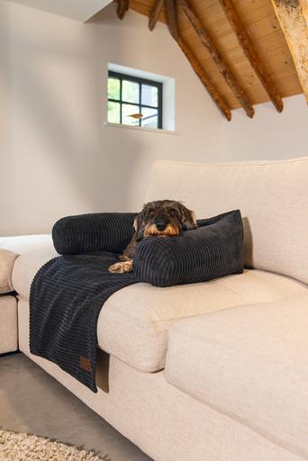 Actual product image Designed by Lotte Ribbed (Dog)