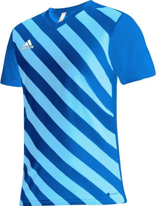Produktbild adidas Entrada 22 Graphic Fussballtrikot Herren (XXL)