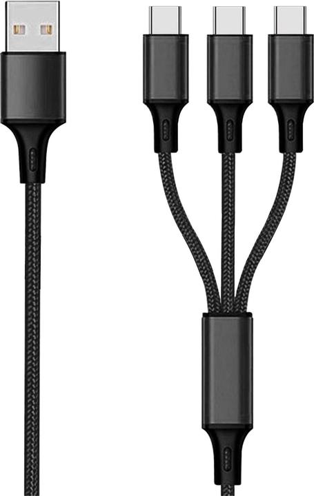 2GO 797156 USB Kabel USB B 3x USB C (1.50 m)