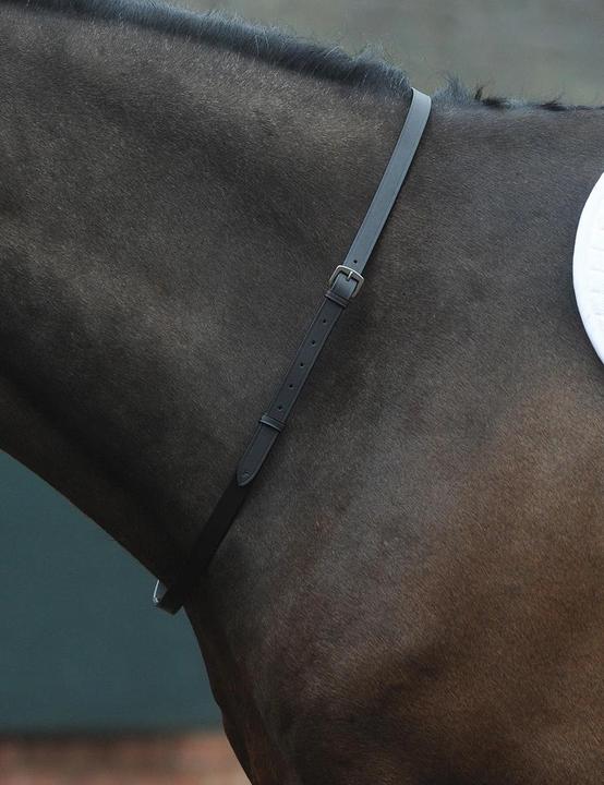 Actual product image Kincade Neck girth for horse
