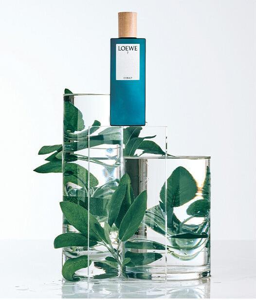 Image du produit Loewe 7 Cobalt (Eau de parfum, 100 ml)