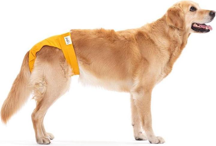 Produktbild Lill's Läufigkeitshöschen aus Bio-Baumwolle Lou (Hund)