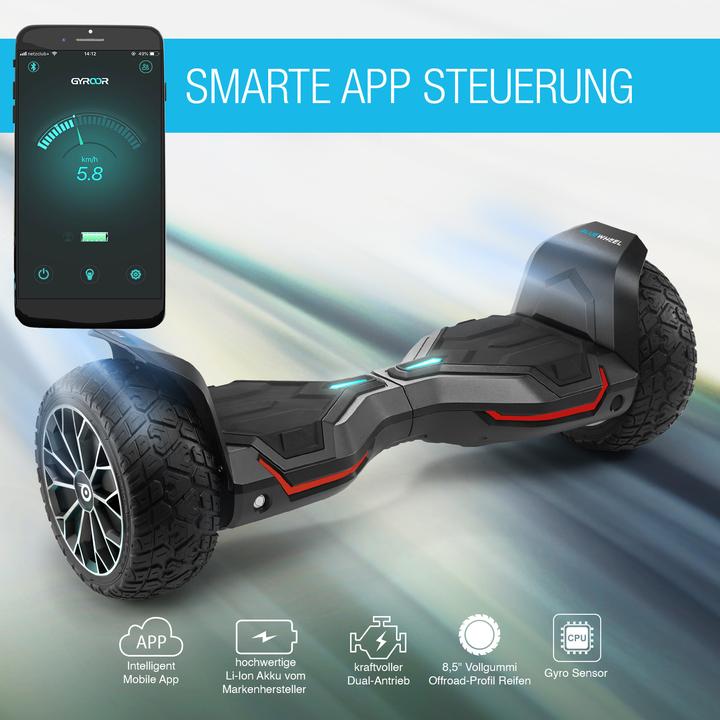 Actual product image Bluewheel Hx510 (16 km/h, 700 W)