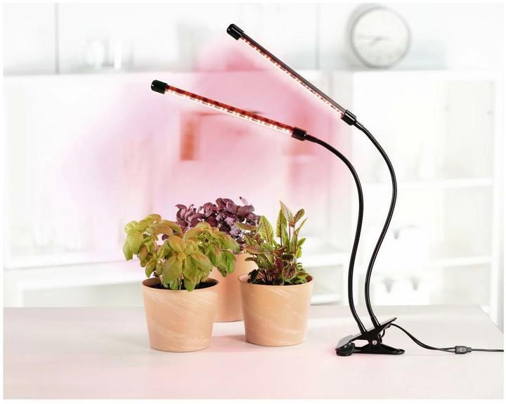 Immagine prodotto Xavax Bastone (LED, 5 V)