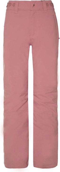 Pink Tulip