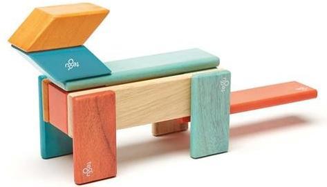 Actual product image Tegu Magnetic