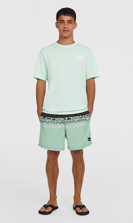 Actual product image O'Neill Cali Stripe 16" Swimshorts (M)