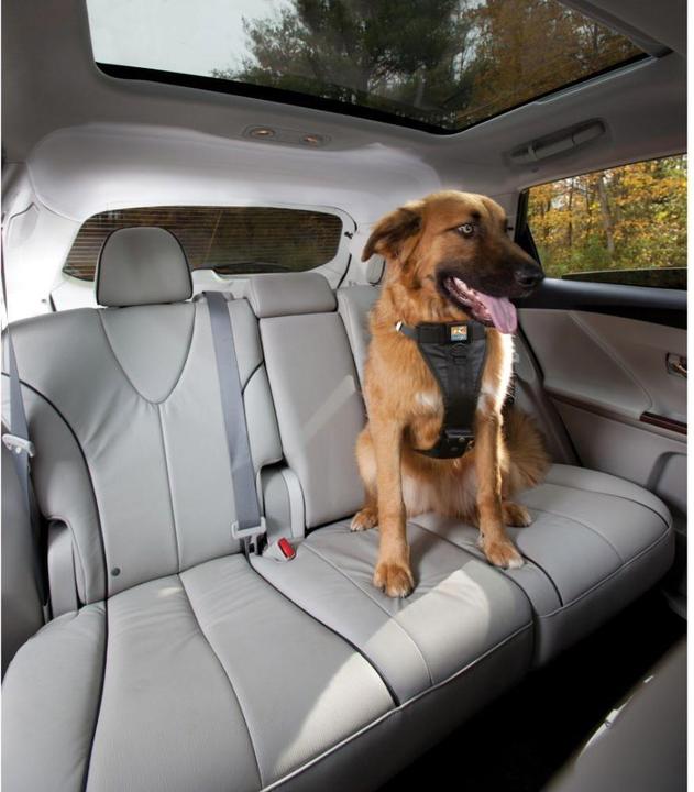 Immagine prodotto Kurgo Tru-Fit (L, Cane, Generale)