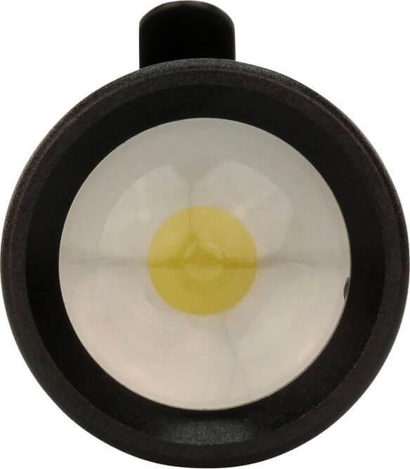 Produktbild Ansmann Future T50F (9 cm, 60 lm)