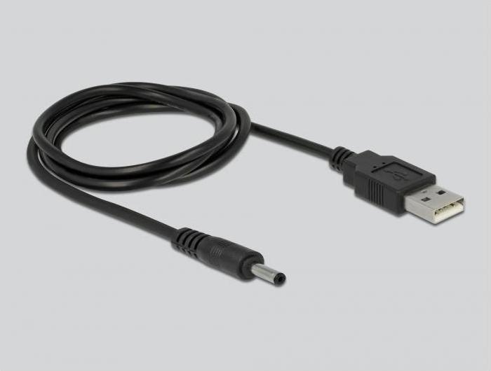 Actual product image Delock 2 Port DP Switch&Distributor