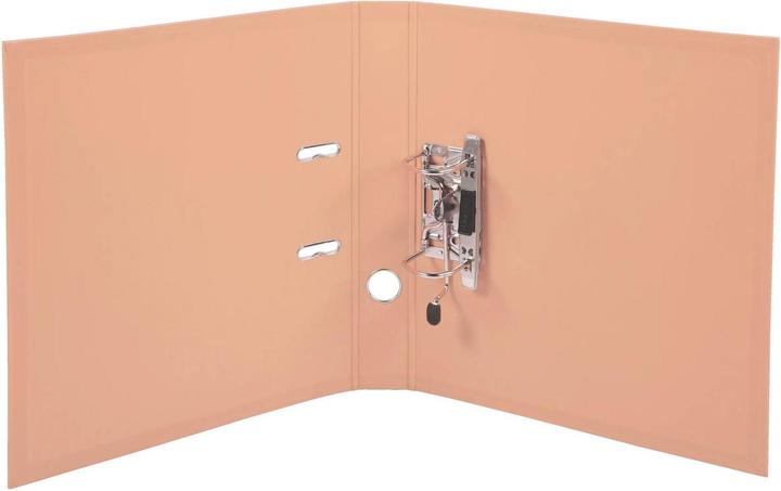 Actual product image Exacompta PVC Premium (A4, 50 mm, 70 Piece)