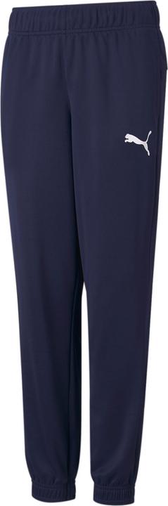 Puma ACTIVE Tricot Pants-586984