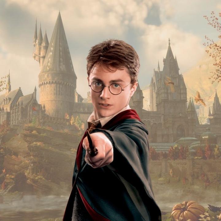 Actual product image Noble Collection Harry Potter Zauberstab Harry Potter (Charakter-Edition)