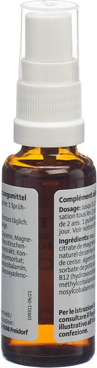 Actual product image Alpinamed B12 Trio Kids Dosage Spray (1 Piece, Spray, 100 g)