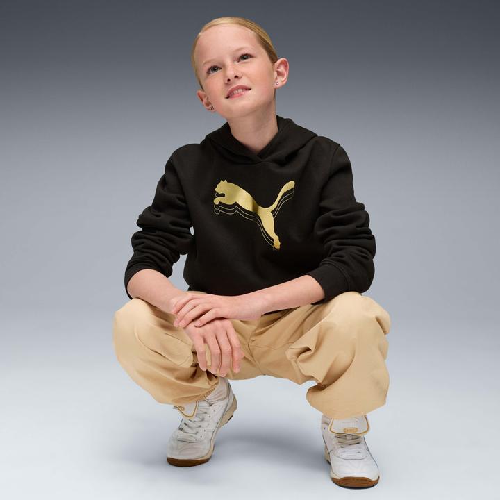 Produktbild Puma ESS METALLIC Hoodie FL G (128)