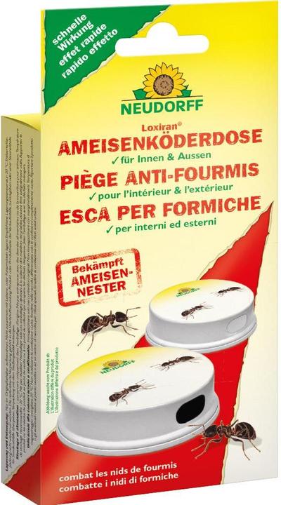 Image du produit Neudorff Loxiran Piège anti-fourmis