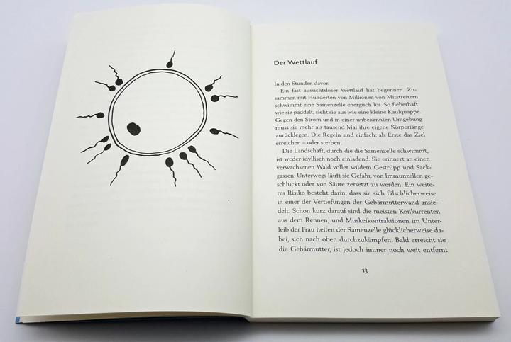 Produktbild Wunder im Bauch (Deutsch, Katharina Vestre, 2019)