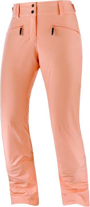 Salomon Edge Pant W (XL)