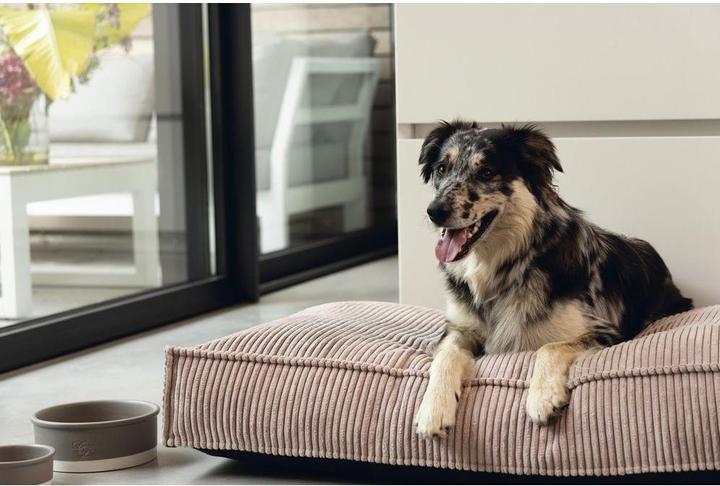 Actual product image Designed by Lotte Ribbed (Dog)