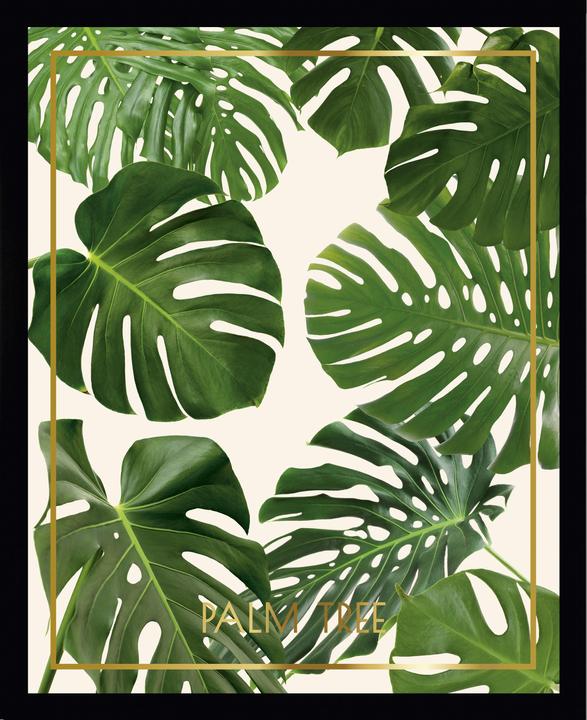 G&C Gallery Foglie di palma 6 (40 x 30 cm)