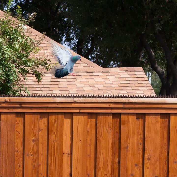 Actual product image Relaxdays Bird spikes