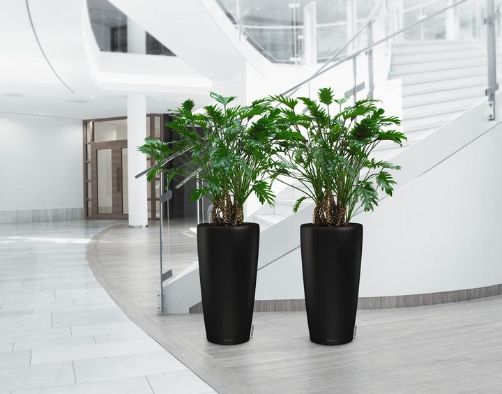 Actual product image Lechuza RONDO Premium. (32.50 cm)