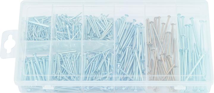 Actual product image KS Tools Assortment of nails, 550 pcs.