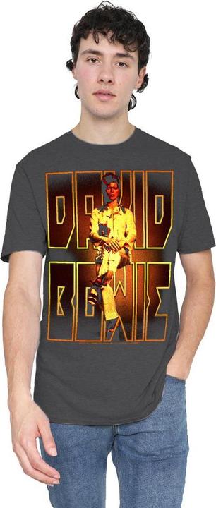 Produktbild David Bowie Perched TShirt (L)