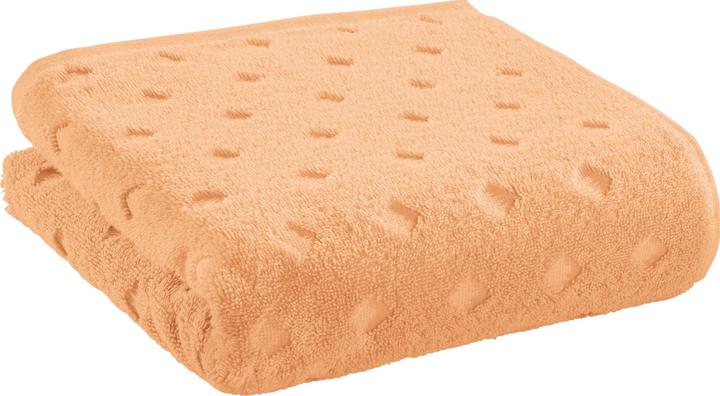 Abricot