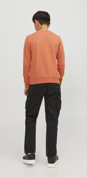 Actual product image Jack & Jones Boys Crew Neck Sweatshirt (176)